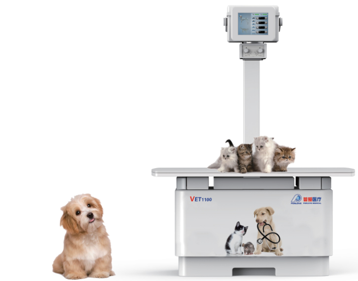 寵物DR優(yōu)勢是什么?哪個品牌好?